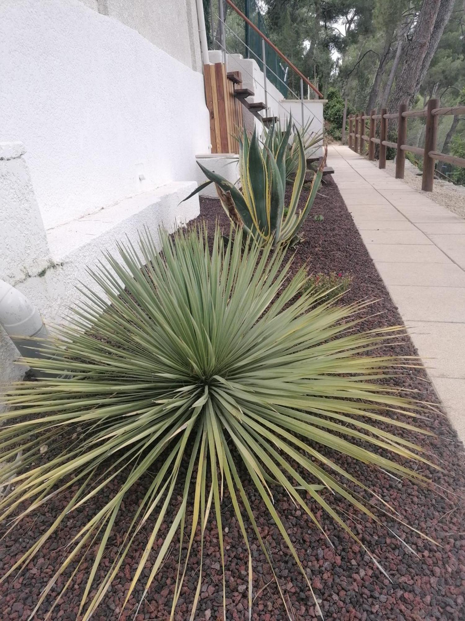 Le Mas des Roches à Velaux Exterior foto